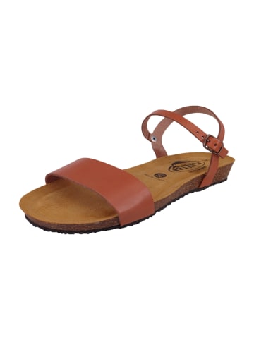 Plakton Sandalen braun
