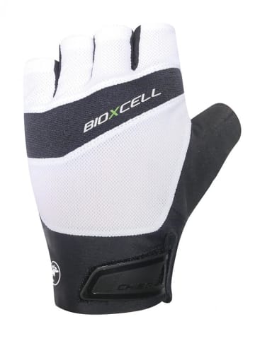 Chiba BioXCell Pro - Radhandschuhe