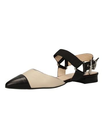 Nero Giardini Pumps in Schwarz