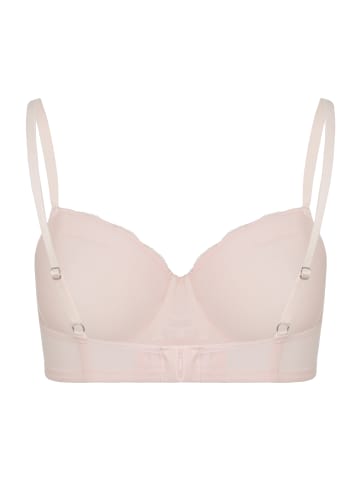 Hanro Schalen BH Cotton Lace in powder