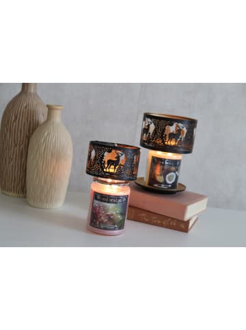 Woodbridge Duftkerze Woodbridge "Coconut & Lime"