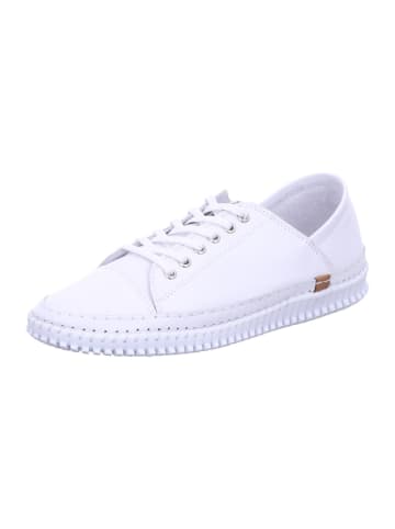Andrea Conti Damen- Schnürschuhe  in Weiß