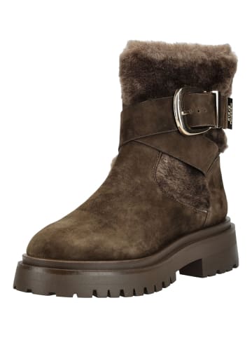 Steve Madden Stiefelette in Braun