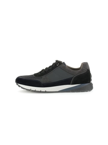 Pius Gabor Sneaker low in blau