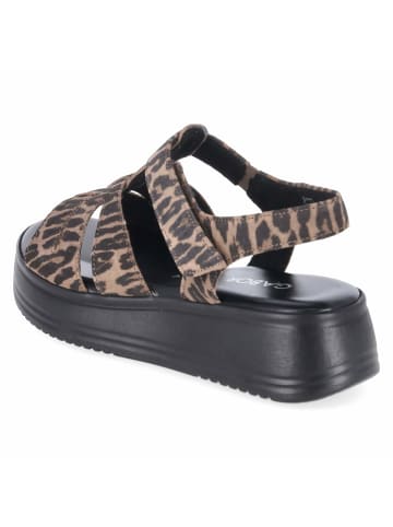 Gabor Sandalette in brown