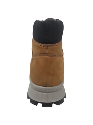 Igi&Co Schnürstiefel U.ELOY GTX in Braun