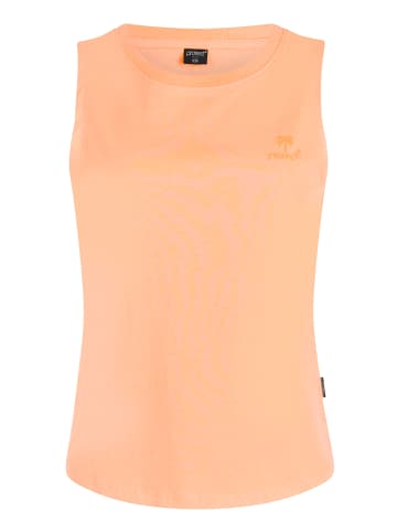 Protest " PRTReturn in Cantaloupe