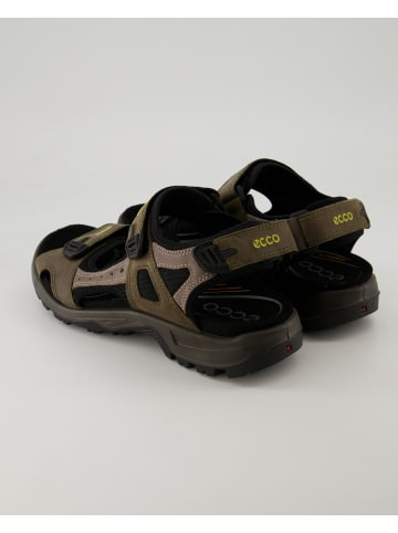 Ecco Wanderschuhe in Grün