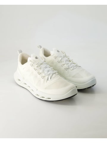 Ecco Sneaker low in Weiß