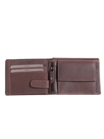 The Chesterfield Brand Marion Brown in braun