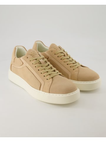 Gant Sneaker low in Beige