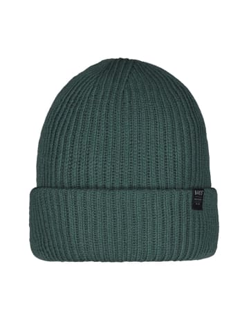Barts Cerrotorre Beanie Mütze in Cedar Grün