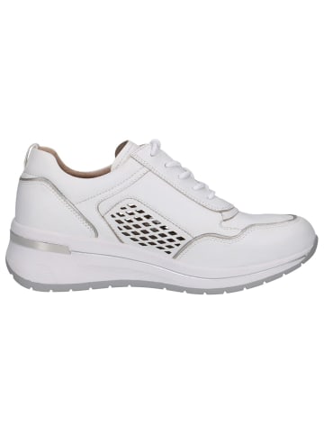 Caprice Sneaker in WHITE COMB