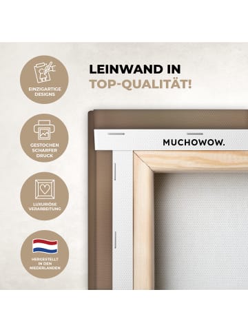 MuchoWow Leinwand bilder Nahaufnahme Flaum (BxH)