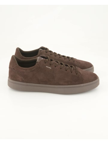 Geox Sneaker low in Braun