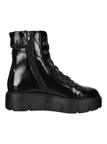 Högl Stiefelette in Schwarz