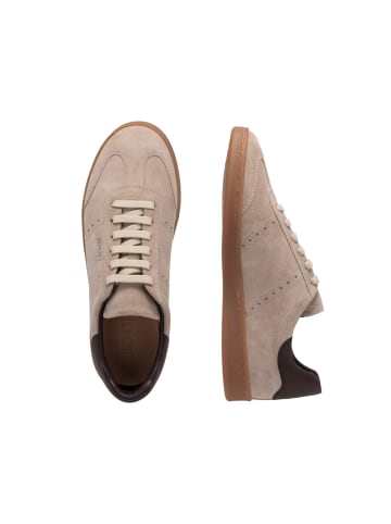 JOOP! Sneaker 'Velluto Misto Ike in Beige'