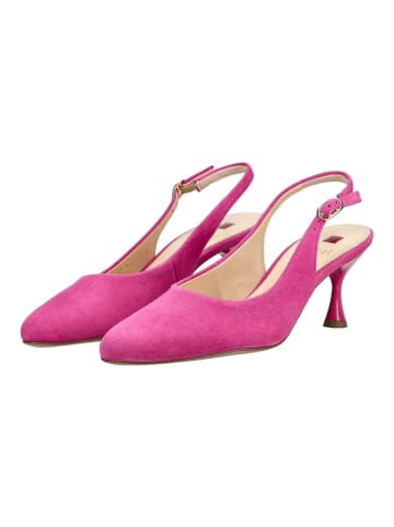 Högl Pumps in Rosa