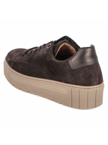 Gabor Schnürhalbschuh in brown