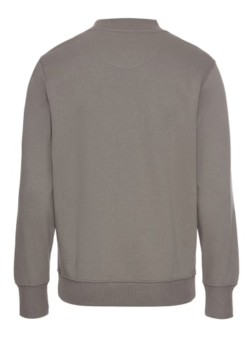 Delmao Sweatshirt in grau