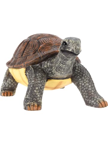 PROGARDEN Gartenfigur Schildkröte in mehrfarben