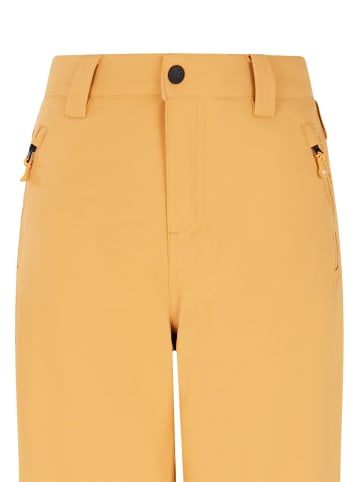 Protest " PRTSTERIO JR in Cab Yellow