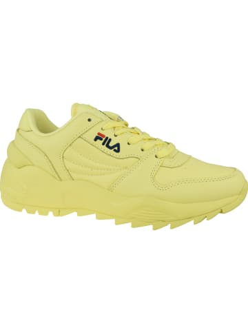 Fila Fila Orbit CMR Jogger L Low Wmn in Gelb