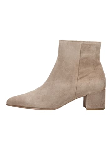 Högl Stiefelette in Taupe
