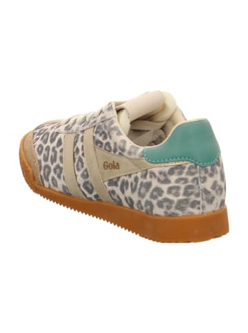 Gola Sneaker Low in Grau