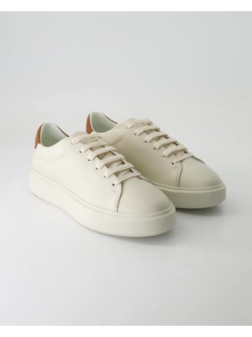 Zahira Sportliche Schnürschuhe in Beige