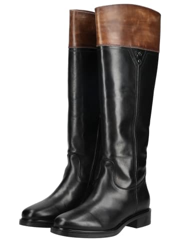 Nero Giardini Stiefel in Schwarz