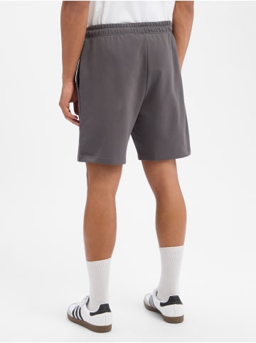 The North Face Sweatshorts in anthrazit