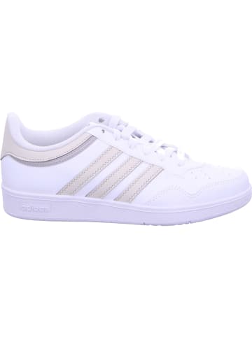 adidas Sneaker Hoops 4 in white/grey/grey