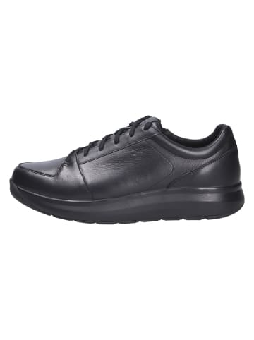 Joya Schnürschuh OLIVER BLACK II in schwarz