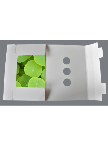 Tischsetmacher.de Tischset I Platzset "Grüne Blätter" 12 Stück aus hochwertigem Papier 44x32