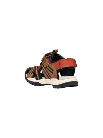 Geox Ledersandalen Kind Borealis Braun