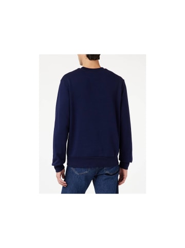 Lacoste Sweatshirts in blau