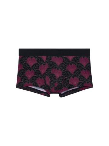 HOM Trunk Carlyle in bordeaux print