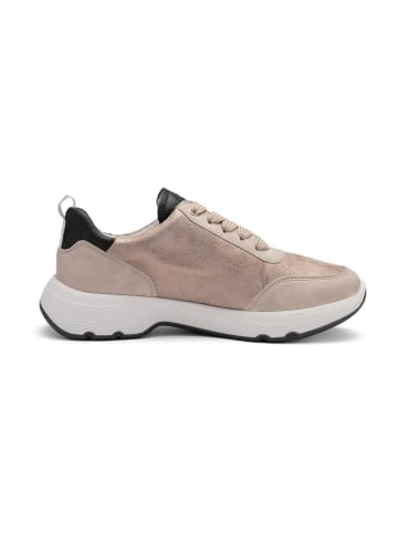 ara Sportliche Schnürschuhe in Beige