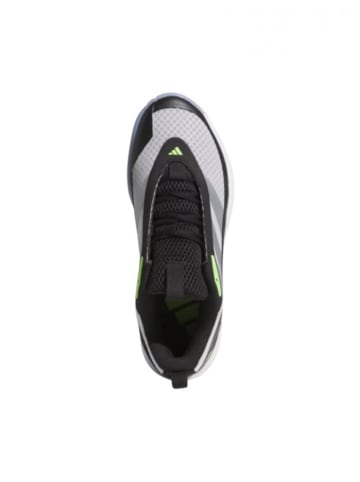 adidas Performance Sneaker Low JI3495 Mehrfarbig