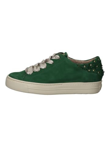 Paul Green Sneaker in Grün