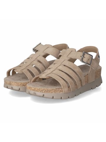 PANAMA JACK Sandalette in taupe
