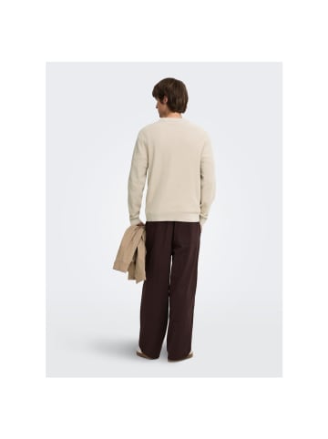 Only&Sons Pullover in Silver Lining