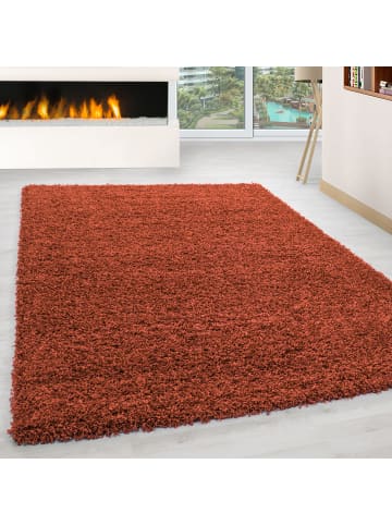 KADIMA DESIGN Teppich Hochflor Shaggy Waschbar Einfarbig RHEIN Strapazierfähig in Terrakotta