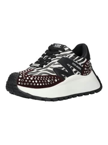 Steve Madden Sneaker in Zebra