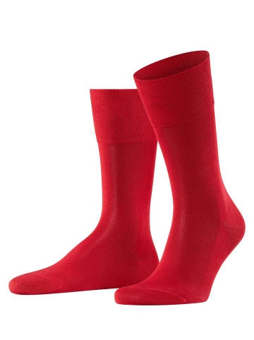 Falke Socken 1er Pack in Rot