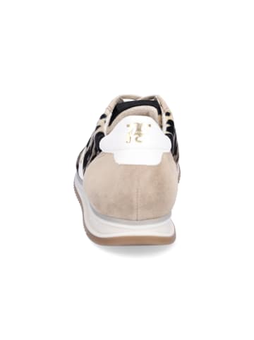 Paul Green Sneaker in Beige Leo
