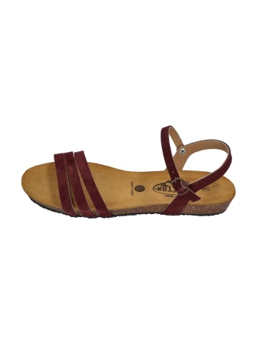 Plakton Sandalen FRAN ALOU 405080 in rot