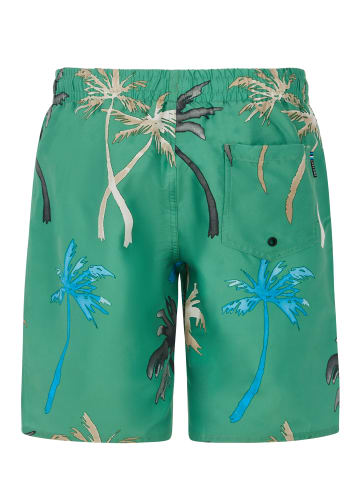 Protest " PRTBrandon JR in Cactus Green