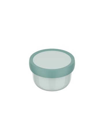 Mepal Fruchtbox Campus 300 ml in Cool Mint